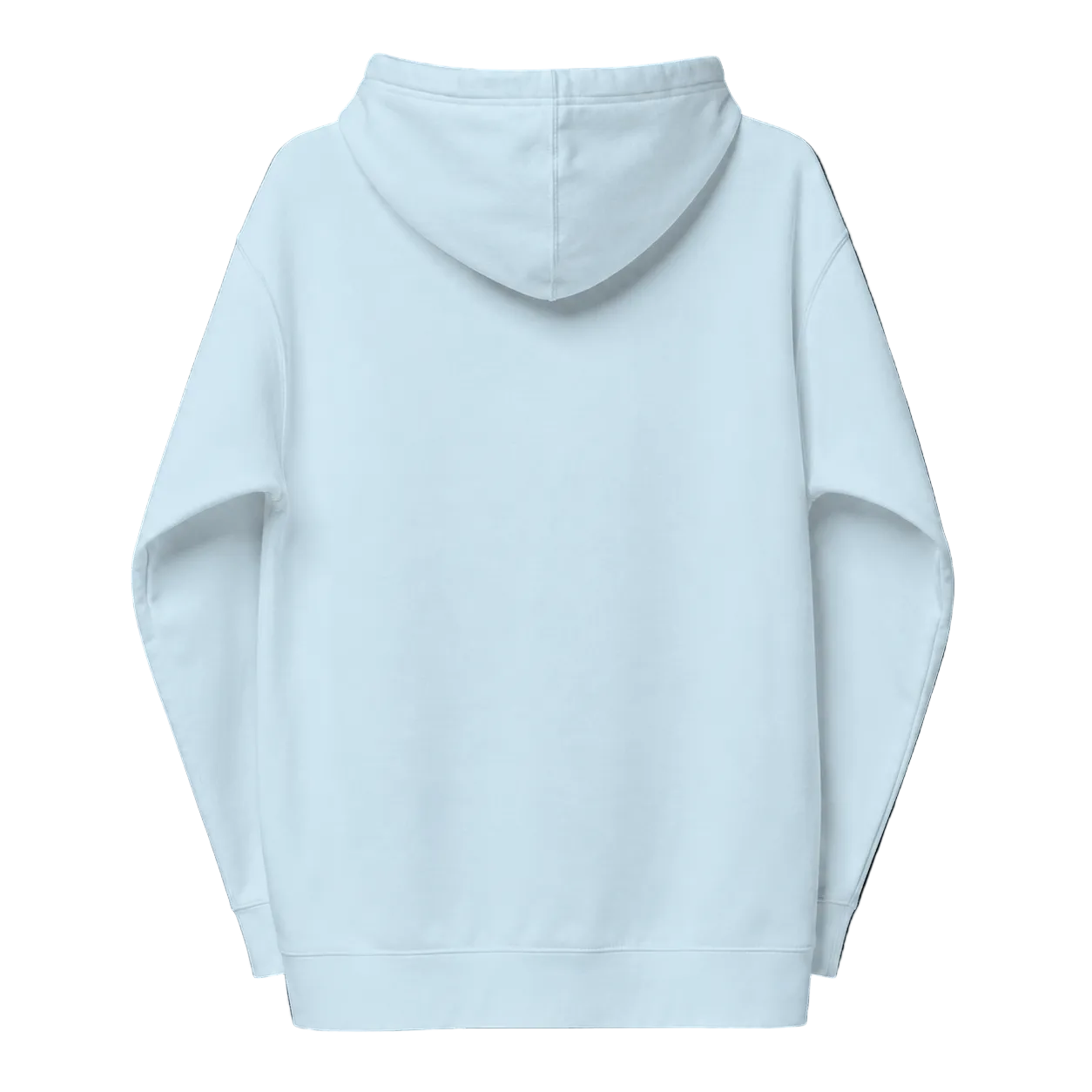 Light blue hoodie shown from the back on a transparent background