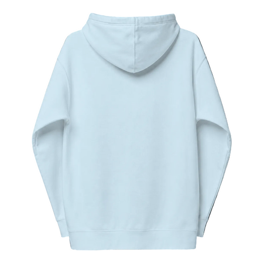 Light blue hoodie shown from the back on a transparent background